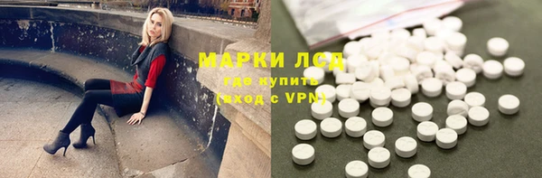гидропоника Гусиноозёрск