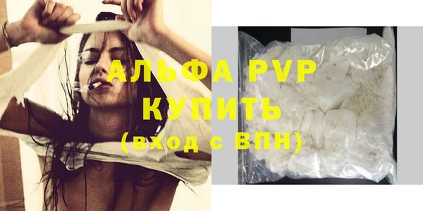 spice Гусев