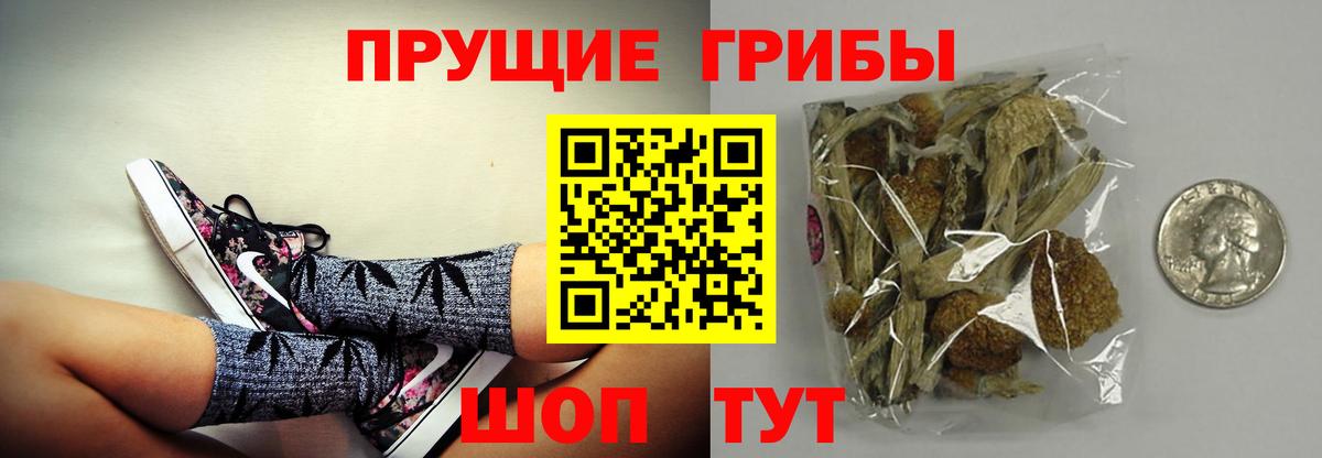 Псилоцибиновые грибы мицелий  Острогожск  Галлюциногенные грибы Magic Shrooms 